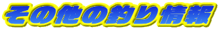 ‚»‚Ì‘¼‚Ì’Þ‚èî•ñ